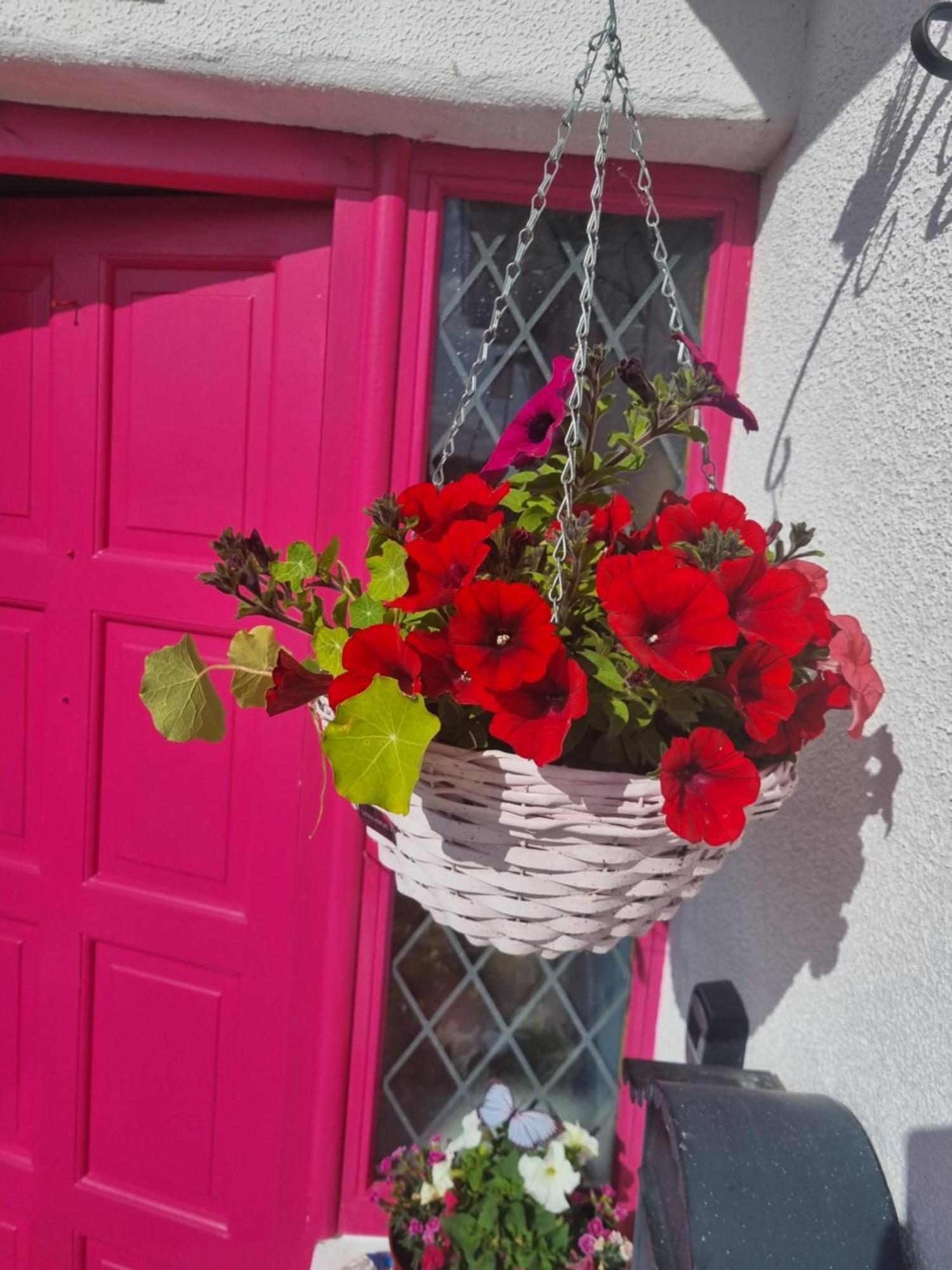 Apartament The Pink Door Killala Zewnętrze zdjęcie